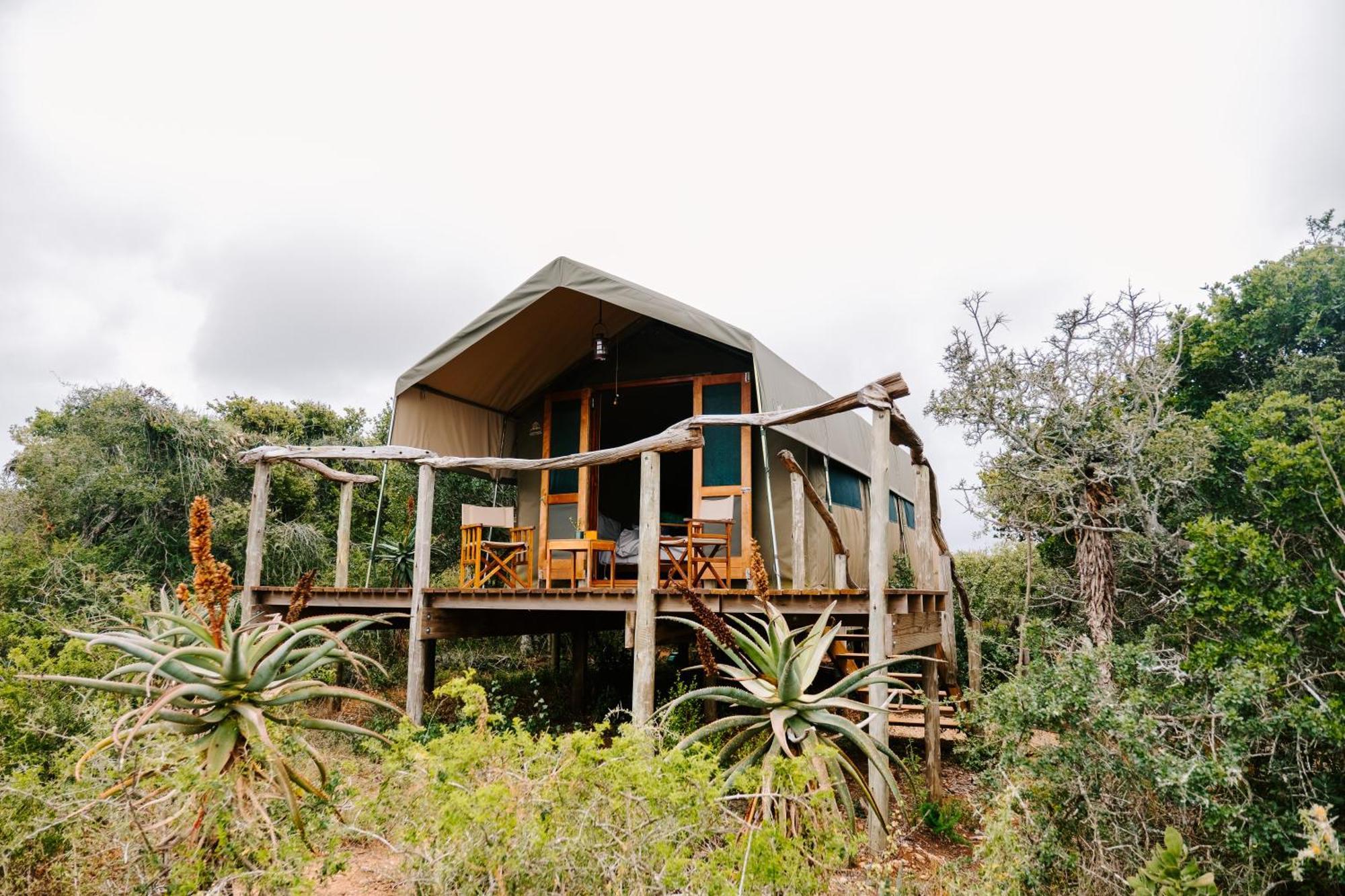 Woodbury Tented Camp - محمية أماخالا الطبيعية المظهر الخارجي الصورة