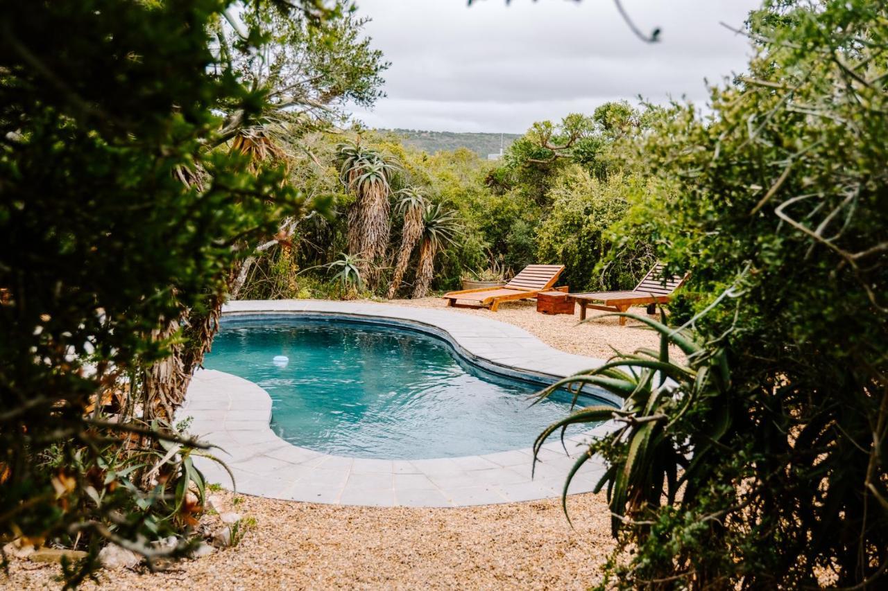 Woodbury Tented Camp - محمية أماخالا الطبيعية المظهر الخارجي الصورة