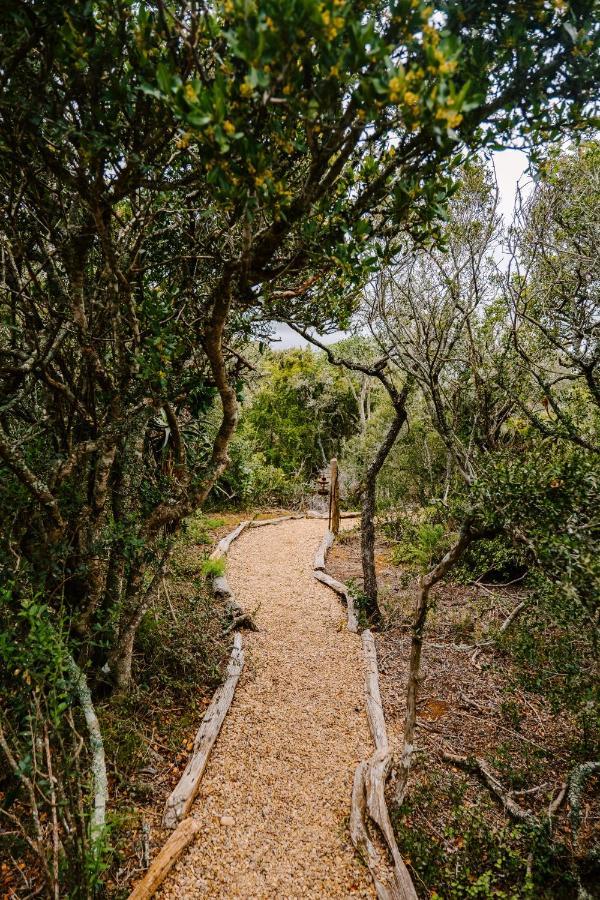 Woodbury Tented Camp - محمية أماخالا الطبيعية المظهر الخارجي الصورة