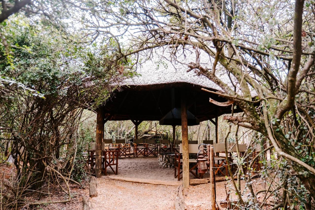 Woodbury Tented Camp - محمية أماخالا الطبيعية المظهر الخارجي الصورة
