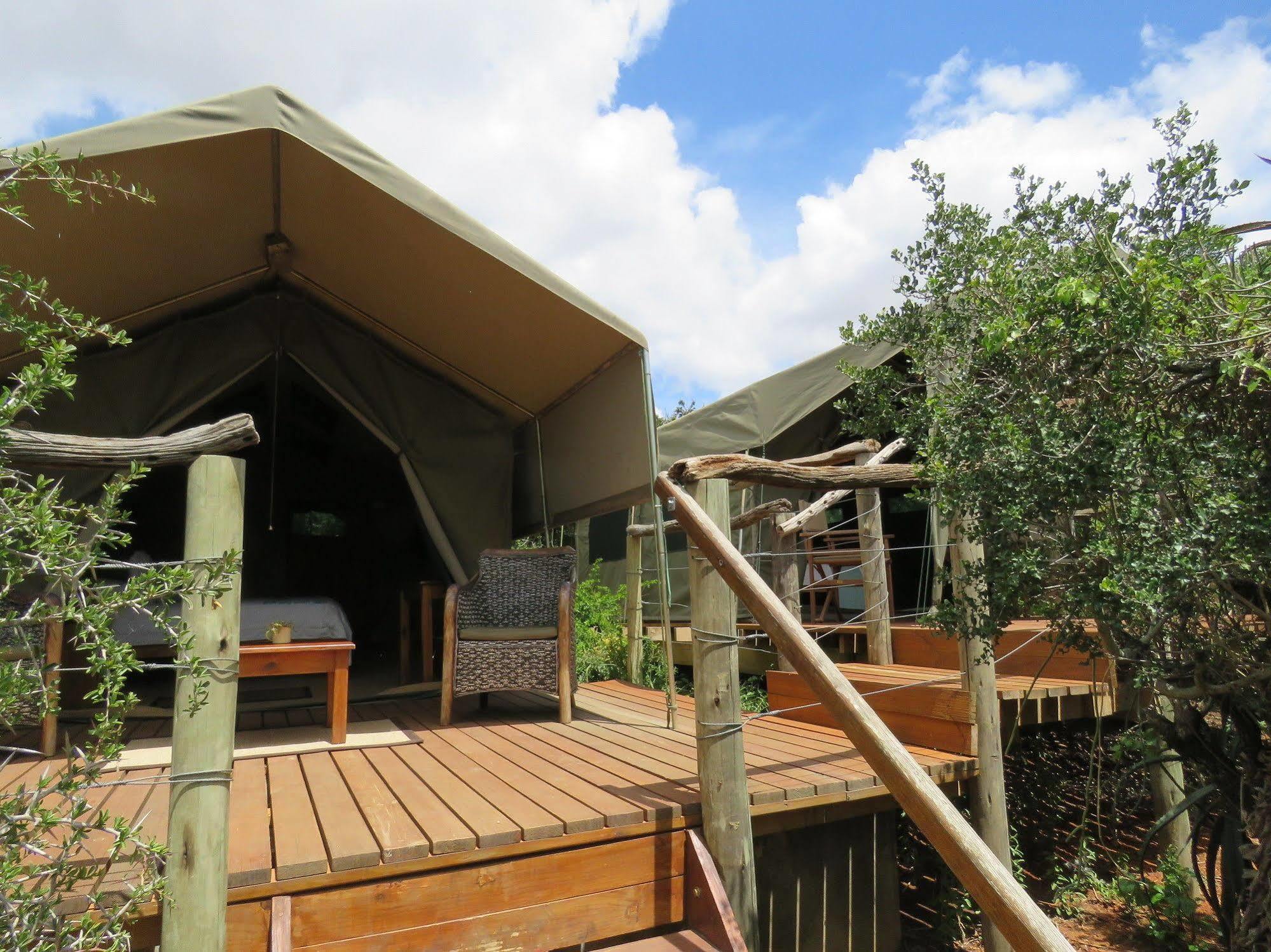 Woodbury Tented Camp - محمية أماخالا الطبيعية المظهر الخارجي الصورة