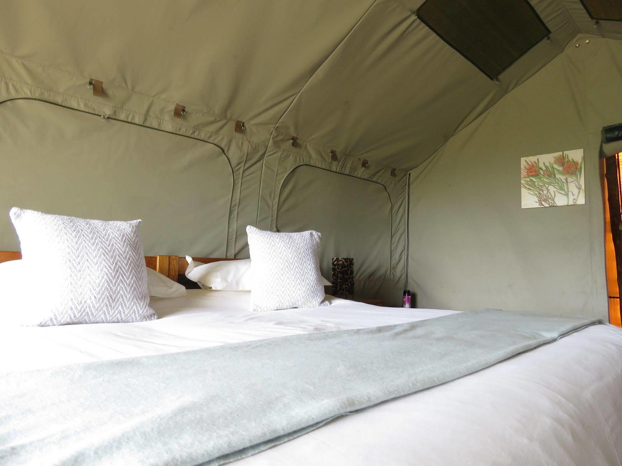 Woodbury Tented Camp - محمية أماخالا الطبيعية المظهر الخارجي الصورة