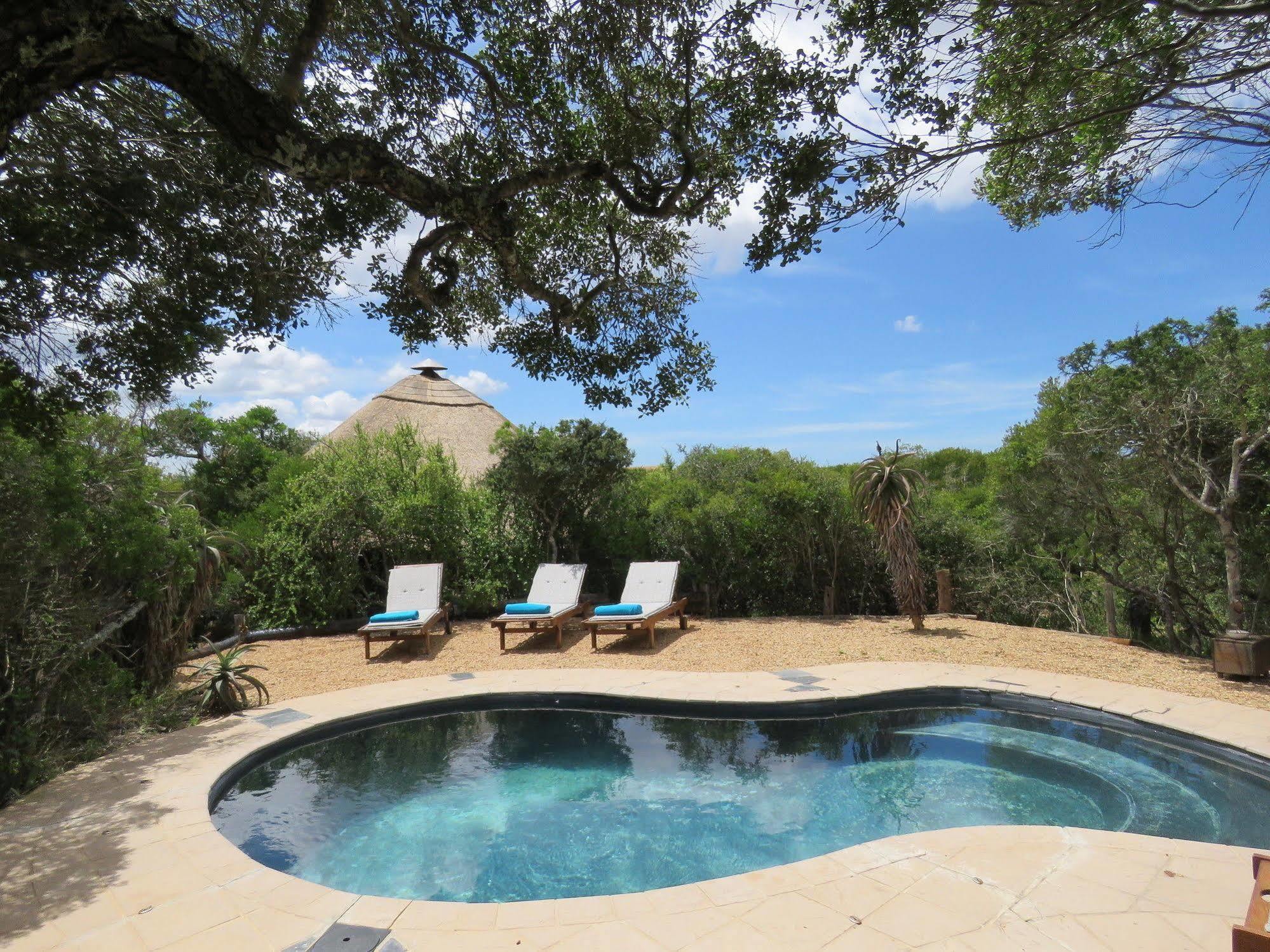 Woodbury Tented Camp - محمية أماخالا الطبيعية المظهر الخارجي الصورة