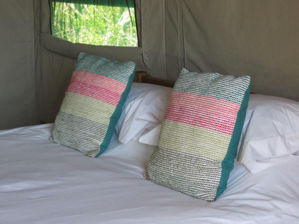 Woodbury Tented Camp - محمية أماخالا الطبيعية المظهر الخارجي الصورة