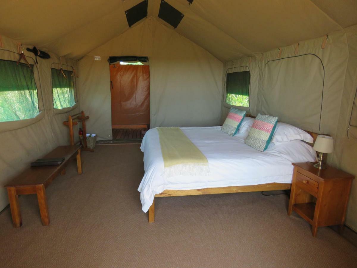 Woodbury Tented Camp - محمية أماخالا الطبيعية المظهر الخارجي الصورة